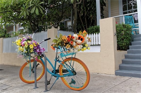Bike with Bulbs