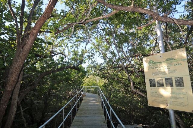 Nature Trail at Little Hamaca Park