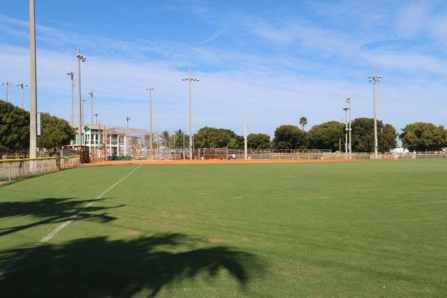 Outfield of a baseball field